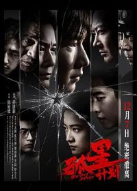 ���Ǽƻ�Ԥ��Ƭ