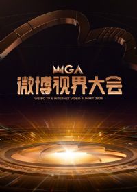 2025΢���ӽ���