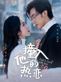 ײ����������