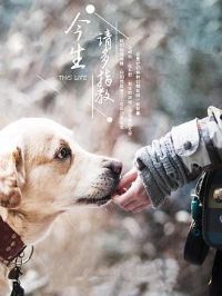 ���������ָ�̵�����